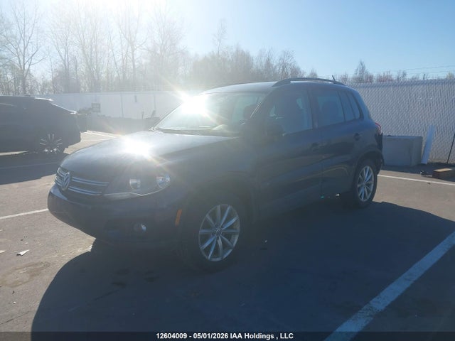 WVGNV7AXXHW507195 Volkswagen Tiguan Wolfsburg Edition