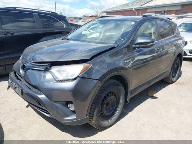 JTMRJREV5GD002360 Toyota Rav4 Hybrid Xle