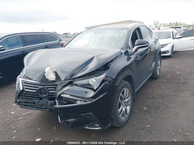 12604032 :رقم المزاد ، JTJGARDZ4L5002315 vin ، 2020 Lexus Nx 300 مزاد بيع