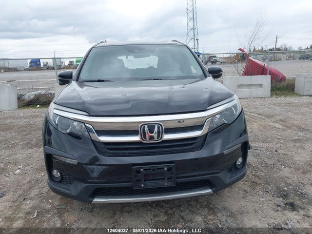 Продажа на аукционе авто 2019 Honda Pilot Ex-l Navi, vin: 5FNYF6H71KB502249, номер лота: 12604037