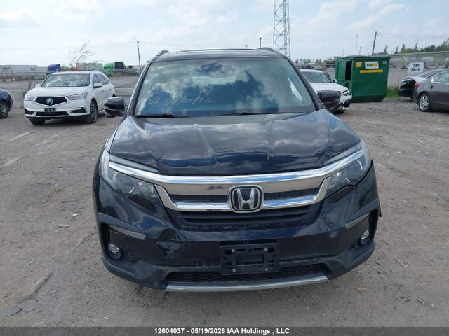 Продажа на аукционе авто 2019 Honda Pilot Ex-l Navi, vin: 5FNYF6H71KB502249, номер лота: 12604037