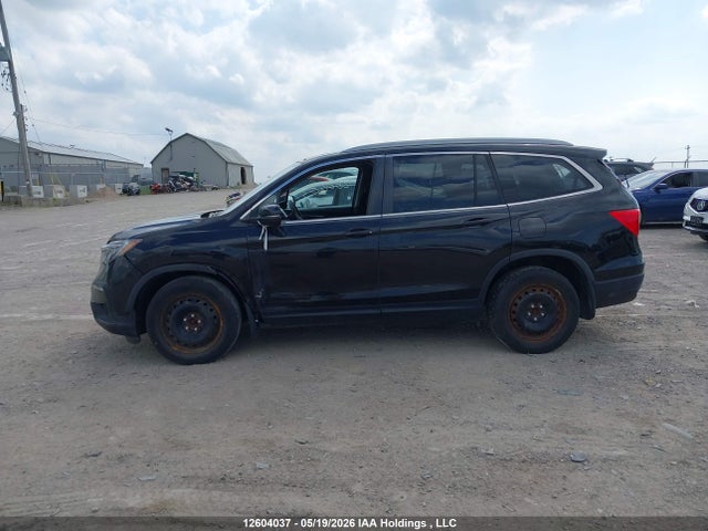 Продажа на аукционе авто 2019 Honda Pilot Ex-l Navi, vin: 5FNYF6H71KB502249, номер лота: 12604037