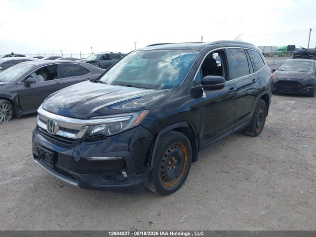 Продажа на аукционе авто 2019 Honda Pilot Ex-l Navi, vin: 5FNYF6H71KB502249, номер лота: 12604037