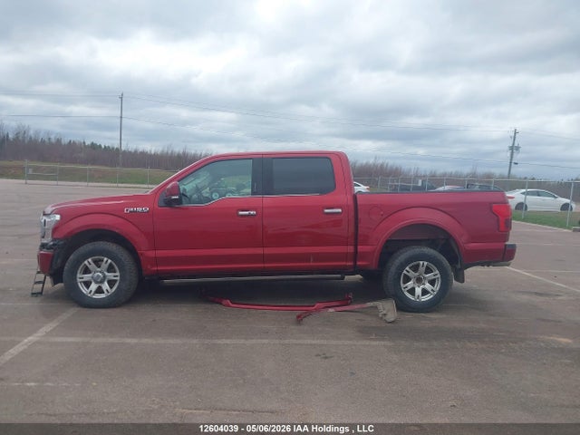 Ford F150 Supercrew 2019 1FTEW1EG2KFB07244 Image 14