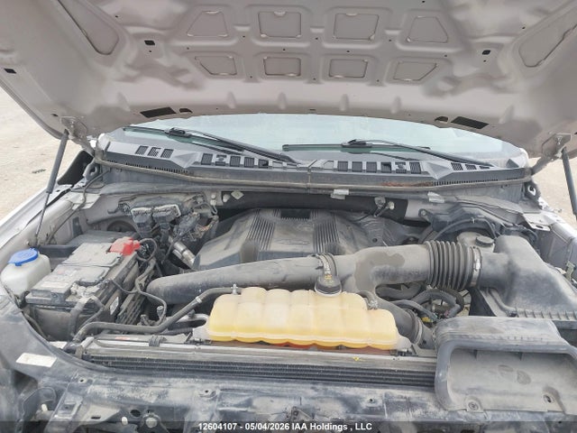 Продаж на аукціоні авто 2018 Ford F150 Supercrew, vin: 1FTEW1EG9JKE33063, номер лоту: 12604107