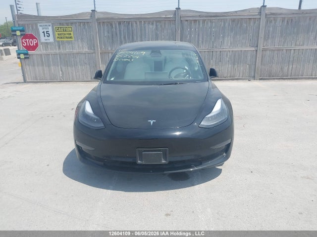 2023 Tesla Model 3 მანქანა იყიდება აუქციონზე, vin: 5YJ3E1EA4PF557804, აუქციონის ნომერი: 12604109
