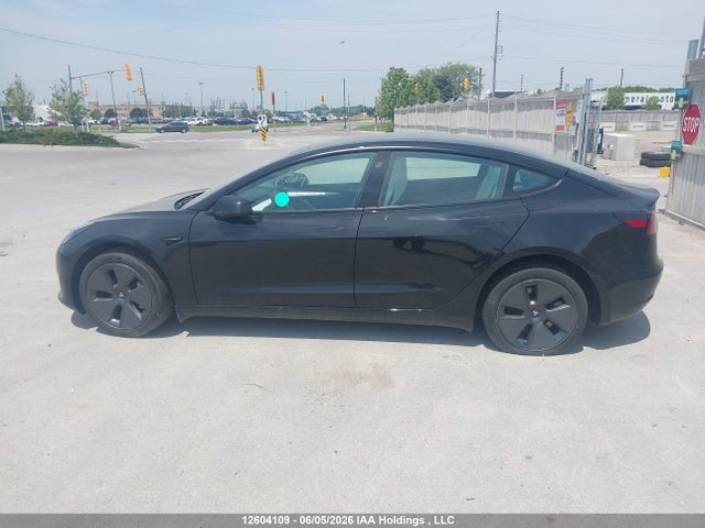 2023 Tesla Model 3 მანქანა იყიდება აუქციონზე, vin: 5YJ3E1EA4PF557804, აუქციონის ნომერი: 12604109