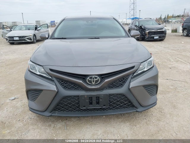 4T1B11HKXJU122954 Toyota CAMRY SE