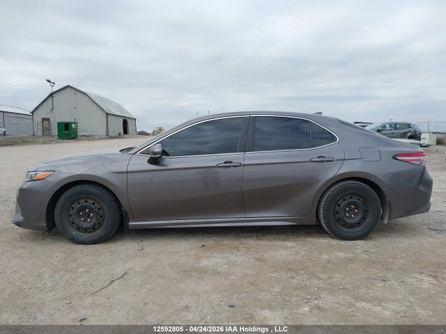 4T1B11HKXJU122954 Toyota CAMRY SE