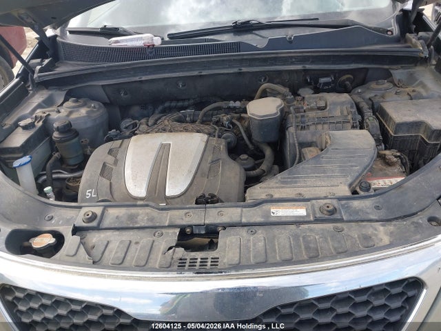 2011 Kia Sorento Ex მანქანა იყიდება აუქციონზე, vin: 5XYKUDA20BG160428, აუქციონის ნომერი: 12604125