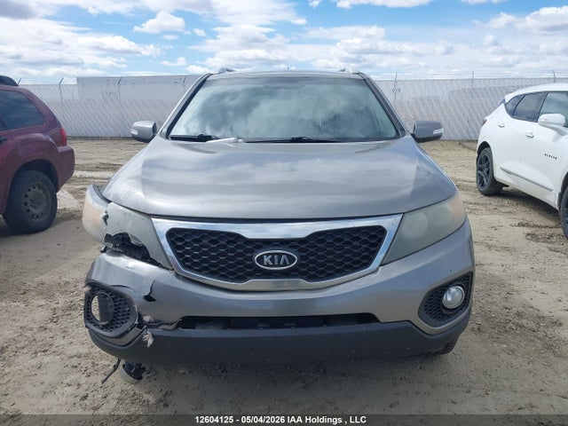 2011 Kia Sorento Ex მანქანა იყიდება აუქციონზე, vin: 5XYKUDA20BG160428, აუქციონის ნომერი: 12604125