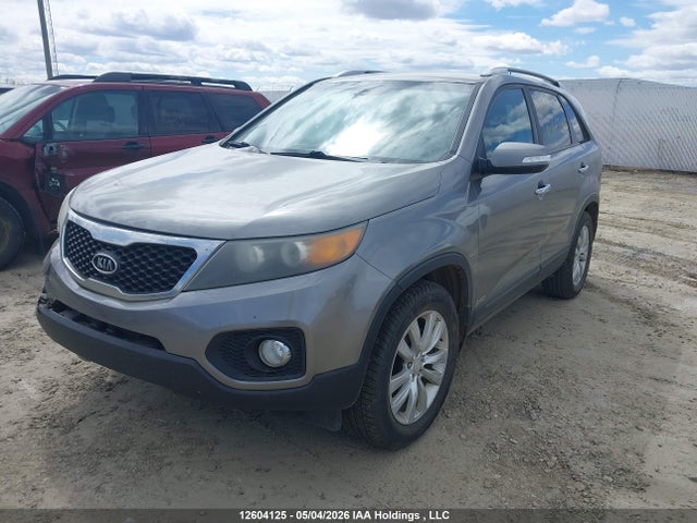 2011 Kia Sorento Ex მანქანა იყიდება აუქციონზე, vin: 5XYKUDA20BG160428, აუქციონის ნომერი: 12604125