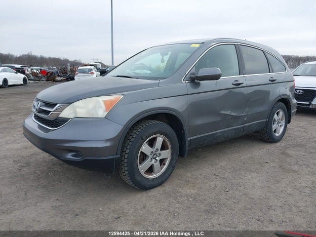 Продаж на аукціоні авто 2010 Honda Cr-v Ex, vin: 5J6RE4H59AL804422, номер лоту: 12594425