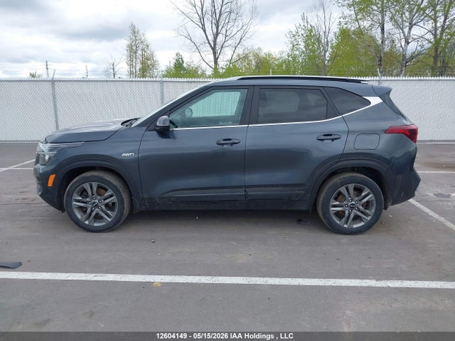 2021 Kia Seltos Ex მანქანა იყიდება აუქციონზე, vin: KNDEUCAA2M7207716, აუქციონის ნომერი: 12604149