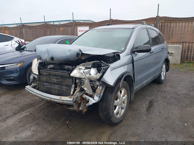Продаж на аукціоні авто 2008 Honda Cr-v Ex, vin: 5J6RE48508L812161, номер лоту: 12604159