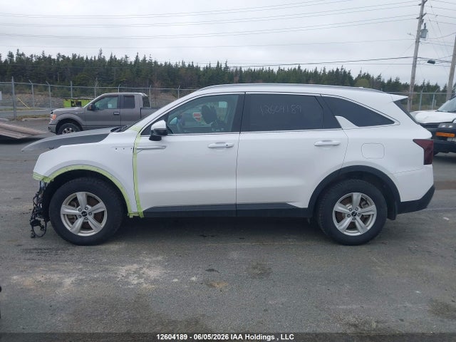 Aukcja sprzedaży 2024 Kia Sorento Lx, vin: 5XYRGDJC0RG296471, numer aukcji: 12604189