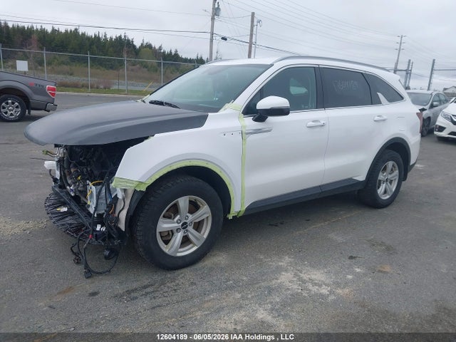 Aukcja sprzedaży 2024 Kia Sorento Lx, vin: 5XYRGDJC0RG296471, numer aukcji: 12604189