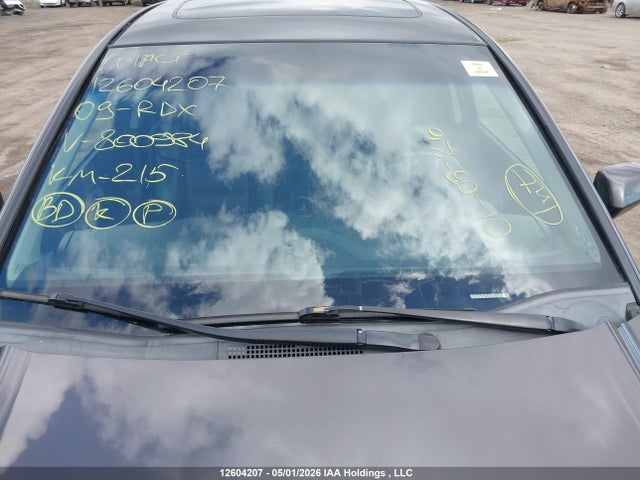 Продажа на аукционе авто 2009 Acura Rdx, vin: 5J8TB18279A800984, номер лота: 12604207