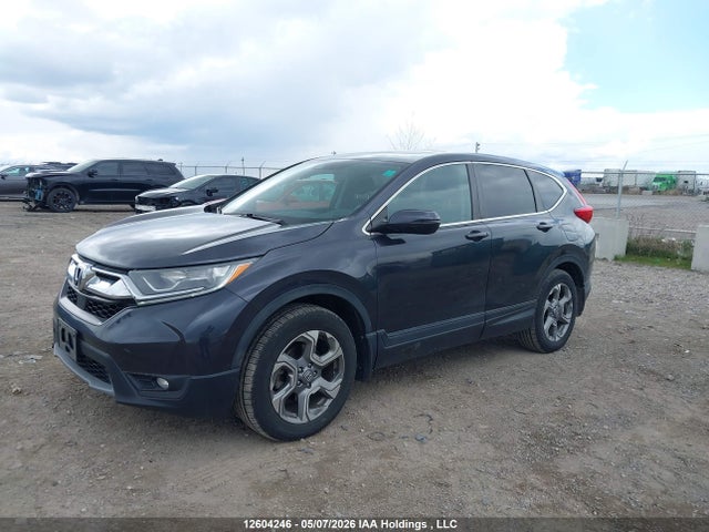 Продажа на аукционе авто 2019 Honda Cr-v Ex, vin: 2HKRW2H54KH141113, номер лота: 12604246