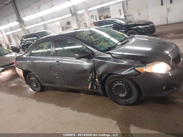 12585578 :رقم المزاد ، 2T1BU4EE3AC192336 vin ، 2010 Toyota Corolla Le مزاد بيع