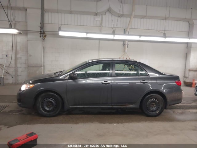12585578 :رقم المزاد ، 2T1BU4EE3AC192336 vin ، 2010 Toyota Corolla Le مزاد بيع
