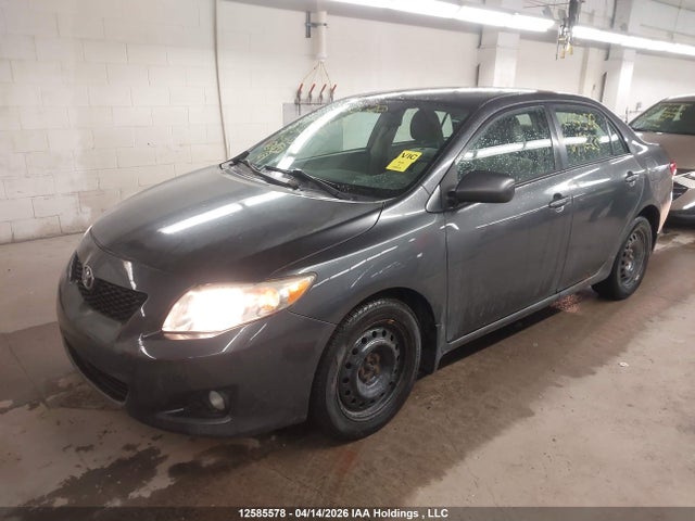 12585578 :رقم المزاد ، 2T1BU4EE3AC192336 vin ، 2010 Toyota Corolla Le مزاد بيع