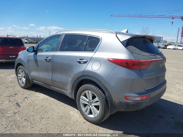 Продаж на аукціоні авто 2017 Kia Sportage Lx, vin: KNDPMCAC4H7181474, номер лоту: 12604370