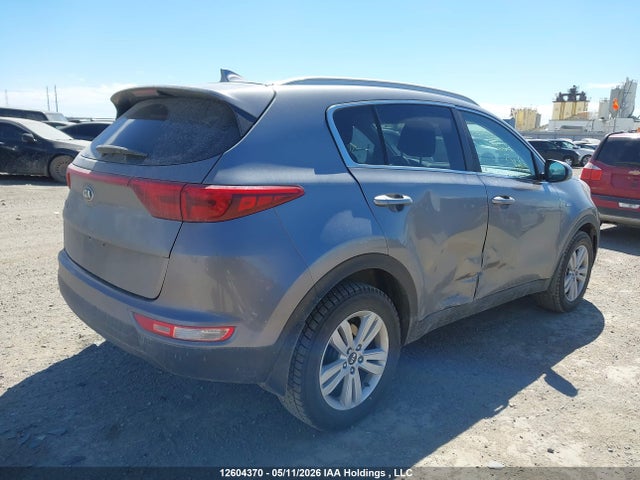 Продаж на аукціоні авто 2017 Kia Sportage Lx, vin: KNDPMCAC4H7181474, номер лоту: 12604370