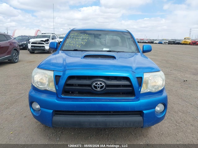 Продаж на аукціоні авто 2006 Toyota Tacoma X-runner Access Cab, vin: 5TETU22N06Z253091, номер лоту: 12604373