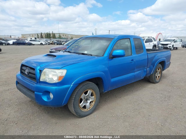 Продаж на аукціоні авто 2006 Toyota Tacoma X-runner Access Cab, vin: 5TETU22N06Z253091, номер лоту: 12604373