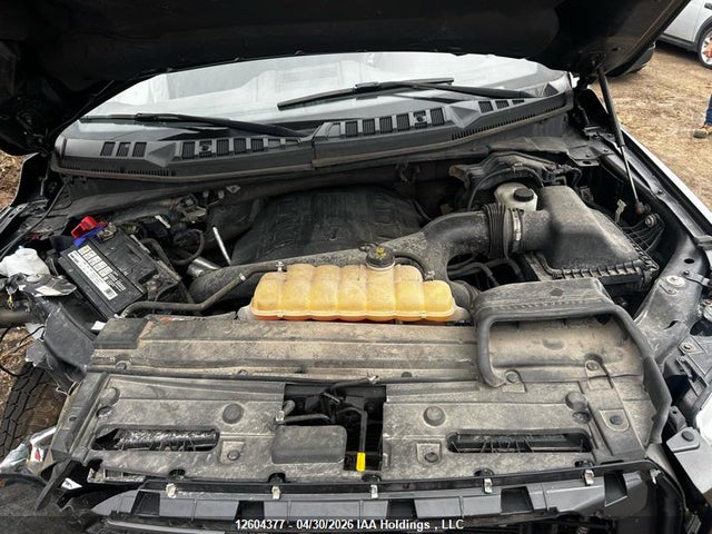 12604377 :رقم المزاد ، 1FTFW1EG8FFA31541 vin ، 2015 Ford F150 Supercrew مزاد بيع