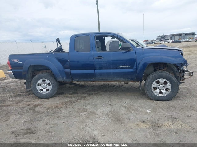 Aukcja sprzedaży 2006 Toyota Tacoma Base V6, vin: 5TEUU42NX6Z317055, numer aukcji: 12604385