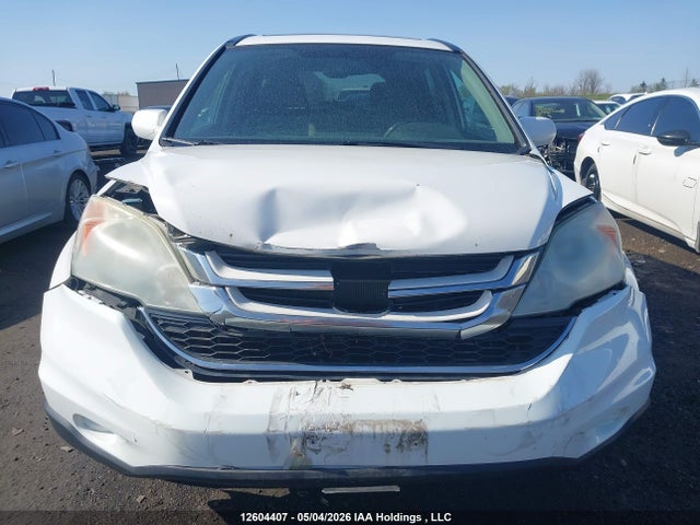 Продаж на аукціоні авто 2010 Honda Cr-v Ex, vin: 5J6RE4H5XAL804624, номер лоту: 12604407