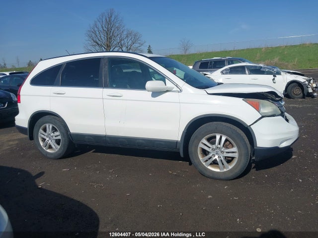 Продаж на аукціоні авто 2010 Honda Cr-v Ex, vin: 5J6RE4H5XAL804624, номер лоту: 12604407