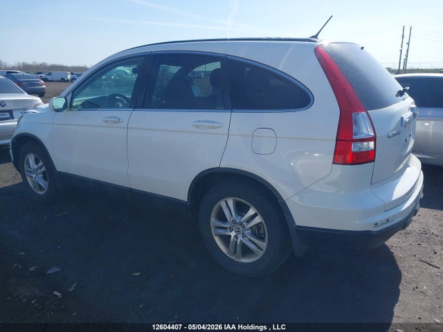 Продаж на аукціоні авто 2010 Honda Cr-v Ex, vin: 5J6RE4H5XAL804624, номер лоту: 12604407