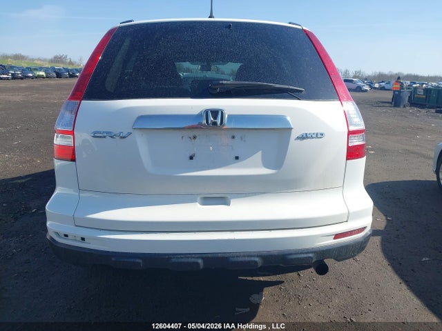 Продаж на аукціоні авто 2010 Honda Cr-v Ex, vin: 5J6RE4H5XAL804624, номер лоту: 12604407
