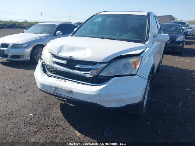 Продаж на аукціоні авто 2010 Honda Cr-v Ex, vin: 5J6RE4H5XAL804624, номер лоту: 12604407