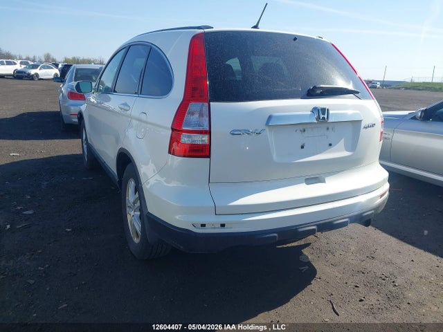Продаж на аукціоні авто 2010 Honda Cr-v Ex, vin: 5J6RE4H5XAL804624, номер лоту: 12604407