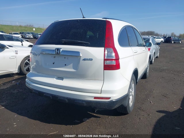 Продаж на аукціоні авто 2010 Honda Cr-v Ex, vin: 5J6RE4H5XAL804624, номер лоту: 12604407