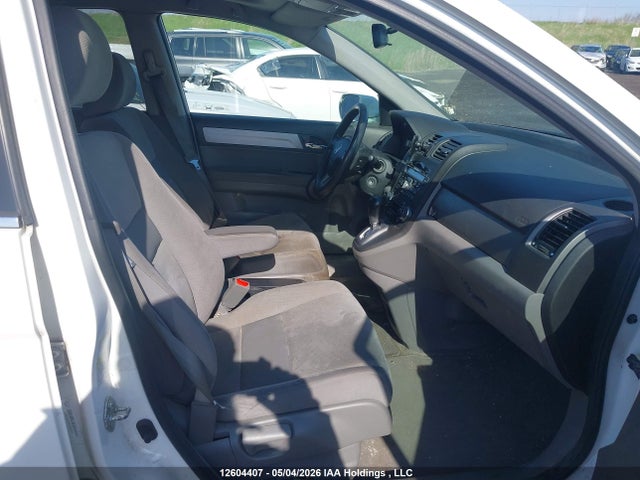 Продаж на аукціоні авто 2010 Honda Cr-v Ex, vin: 5J6RE4H5XAL804624, номер лоту: 12604407