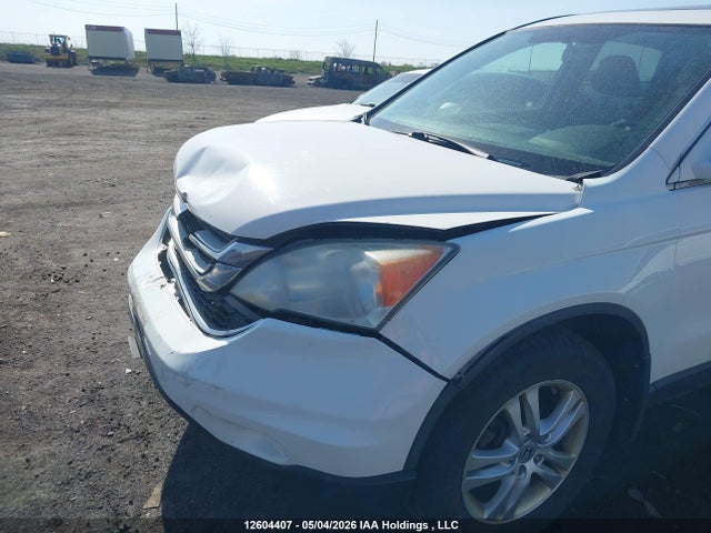 Продаж на аукціоні авто 2010 Honda Cr-v Ex, vin: 5J6RE4H5XAL804624, номер лоту: 12604407