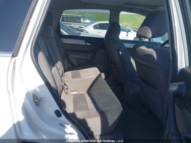 Продаж на аукціоні авто 2010 Honda Cr-v Ex, vin: 5J6RE4H5XAL804624, номер лоту: 12604407