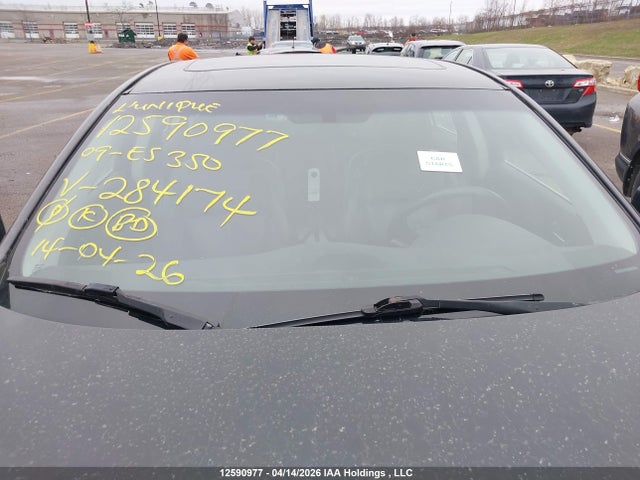 12590977 :رقم المزاد ، JTHBJ46G192284174 vin ، 2009 Lexus Es 350 350 مزاد بيع