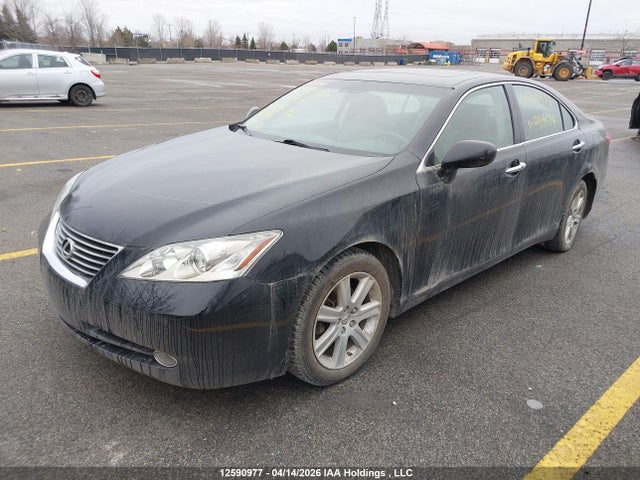 12590977 :رقم المزاد ، JTHBJ46G192284174 vin ، 2009 Lexus Es 350 350 مزاد بيع