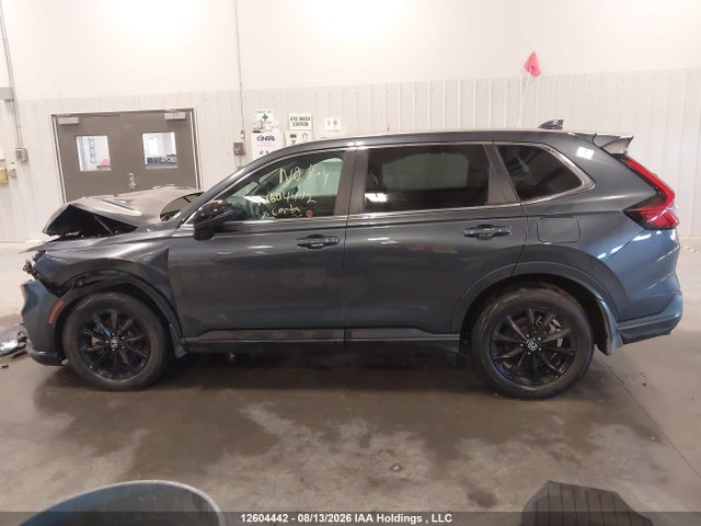 Продажа на аукционе авто 2025 Honda Cr-v Exl, vin: 2HKRS6H74SH200620, номер лота: 12604442