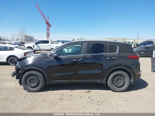 Продажа на аукционе авто 2017 Kia Sportage Ex/ex Premium/ex Tech, vin: KNDPNCAC2H7080897, номер лота: 12604556