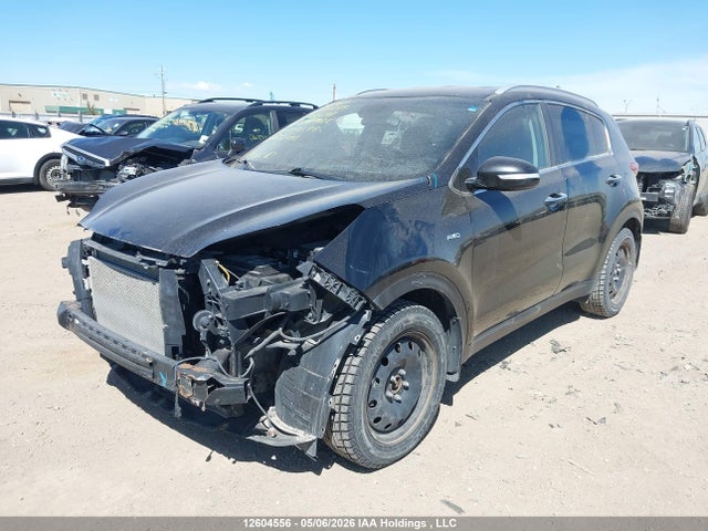 Продажа на аукционе авто 2017 Kia Sportage Ex/ex Premium/ex Tech, vin: KNDPNCAC2H7080897, номер лота: 12604556