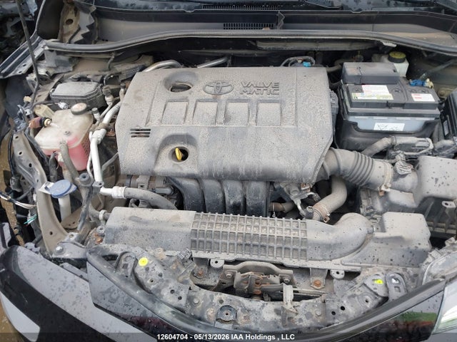 12604704 :رقم المزاد ، NMTKHMBX5KR066254 vin ، 2019 Toyota C-hr Xle/le/limited مزاد بيع
