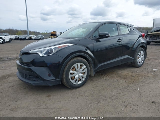 12604704 :رقم المزاد ، NMTKHMBX5KR066254 vin ، 2019 Toyota C-hr Xle/le/limited مزاد بيع