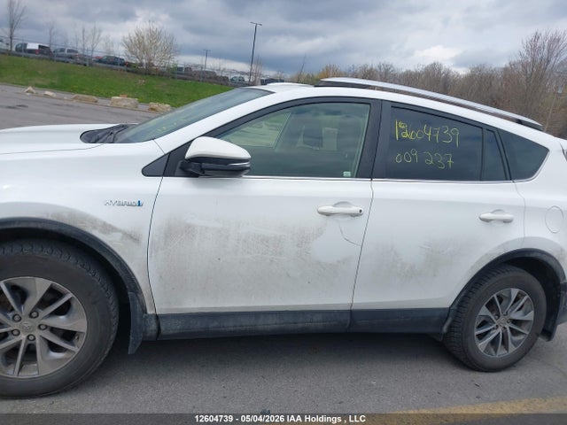 12604739 :رقم المزاد ، JTMRJREV8GD009237 vin ، 2016 Toyota Rav4 مزاد بيع